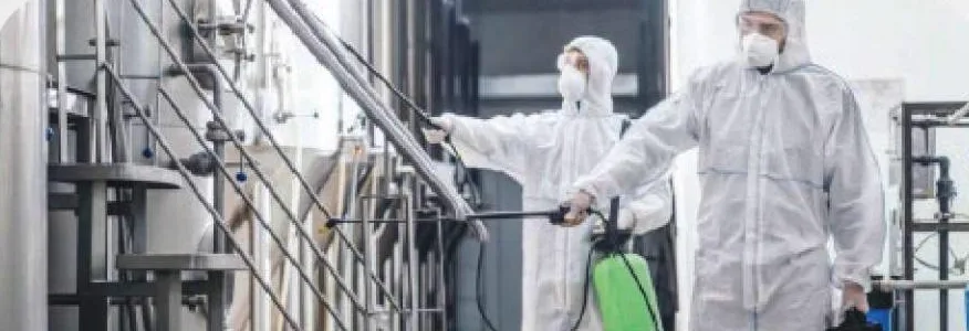 Disinfection Services