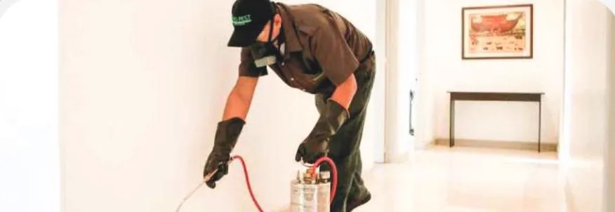 Residual Spraying Treatment