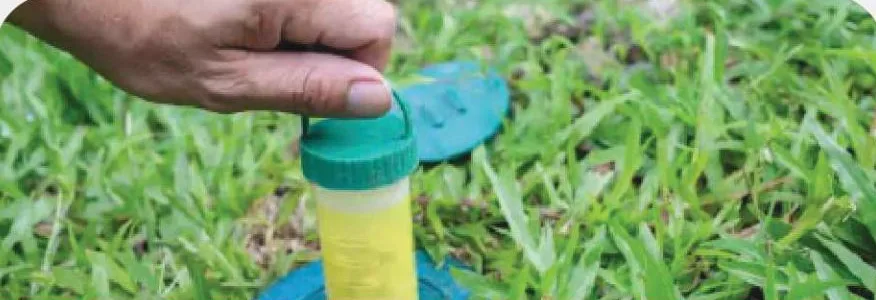 Termite Baiting System