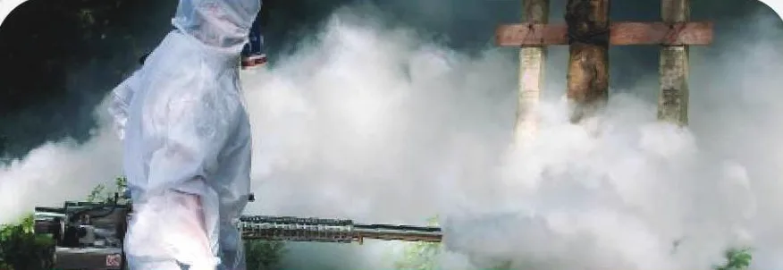 Thermal Fogging and Larviciding